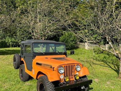 Gebraucht Jeep Wrangler 78 PS (57 kW) 1974 Orange SUV