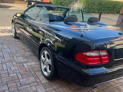 Mercedes CLK230