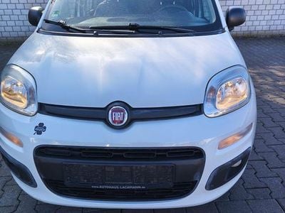 Gebraucht Fiat Panda Easy 82 PS (60 kW) 2017 Weiß Kleinwagen