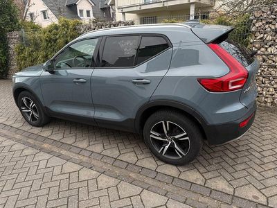 Gebraucht Volvo XC40 Momentum 163 PS (119 kW) 2020 Grau SUV