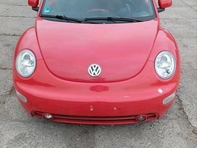 VW Beetle
