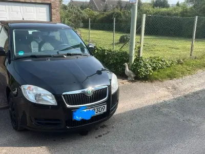 Gebraucht Skoda Fabia