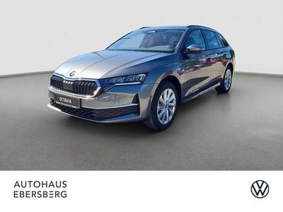 Gebraucht Skoda Octavia Selection 150 PS (110 kW) 2025 Grau (graphitegrau) Kombi