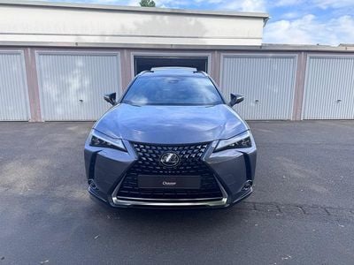 Brugt Lexus UX 250h Luxury Line 184 HK (135 kW) 2020 Grå SUV