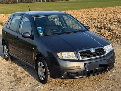 Brugt Skoda Fabia
