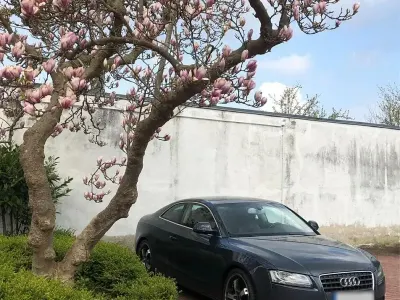 Gebraucht Audi A5 163 PS (119 kW) 2008 Grau Coupé