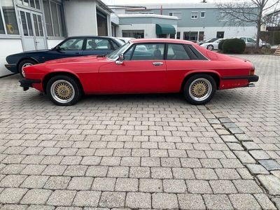 gebraucht Jaguar XJS Coupe V12 - LHD - deutsche Erstauslieferung