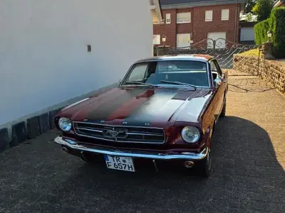 Gebraucht Ford Mustang 204 PS (150 kW) 1965 Rot
