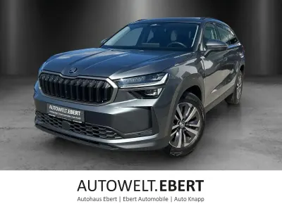 Gebraucht Skoda Kodiaq Selection 193 PS (141 kW) 2024 Grau SUV