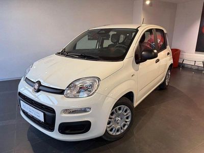 Neu Fiat Panda Icon 65 PS (47 kW) 2026 Weiß Kleinwagen