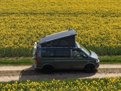Gebraucht VW California