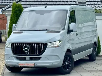 Gebraucht Mercedes Sprinter 114 PS (83 kW) 2019 Grau Van