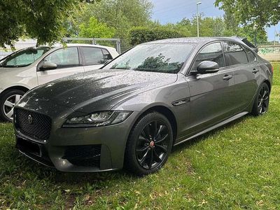 Gebraucht Jaguar XF R-Sport 179 PS (131 kW) 2018 Grau Limousine