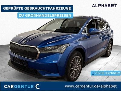 Blau Gebraucht 2024 Skoda Enyaq iV Loft SUV | 36.690 € (Superpreis)