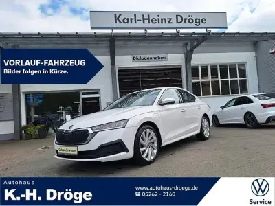 Gebraucht Skoda Octavia
