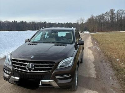 Andere farben Gebraucht 2013 Mercedes ML350 SUV | 26.800 € (Etwas zu teuer)