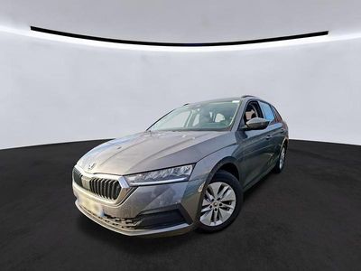 Usata Skoda Octavia Ambition 110 CV (80 kW) 2023 Grigio Station wagon