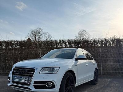 Gebraucht Audi SQ5 Competition 326 PS (239 kW) 2016 Weiß SUV