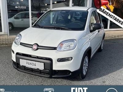 Gebraucht Fiat Panda Cross Cross 65 PS (47 kW) 2025 Weiß Kleinwagen