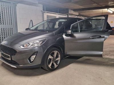 Grau Gebraucht 2019 Ford Fiesta Active Kleinwagen | 11.300 € (Guter Preis)