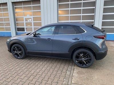 Neu Mazda CX-30 Homura-Line 140 PS (102 kW) 2025 SUV