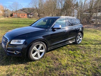 gebraucht Audi SQ5 3.0 TDI competition tiptronic quattro -