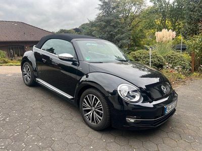 VW Beetle