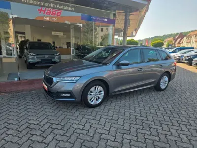 Gebraucht Skoda Octavia Ambition 150 PS (110 kW) 2023 Grau Kombi