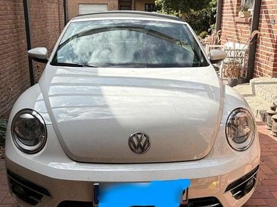 VW Beetle