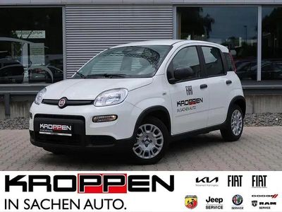 Gebraucht Fiat Panda S 69 PS (50 kW) 2025 Alpine white Kleinwagen