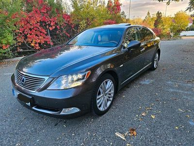 Gebraucht Lexus LS600h L 445 PS (327 kW) 2008 Braun Limousine