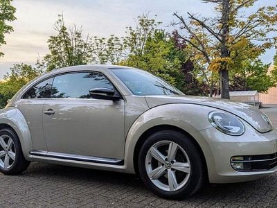 VW Beetle