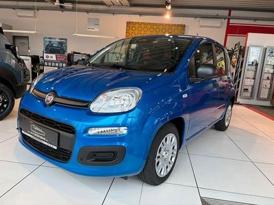 Neu Fiat Panda Icon 65 PS (47 kW) 2026 Blau Kleinwagen