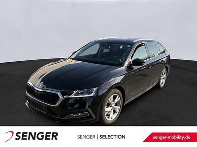 Gebraucht Skoda Octavia Style 150 PS (110 kW) 2023 Black magic perleffekt Kombi