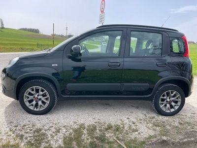 gebraucht Fiat Panda Wild 4 x 4 - Sicher unterwegs auf jedem Weg! -