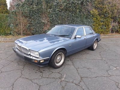 gebraucht Jaguar XJ40 H Kennzeichen