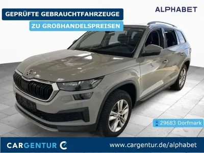 Gebraucht Skoda Kodiaq Ambition 150 PS (110 kW) 2023 Grau SUV