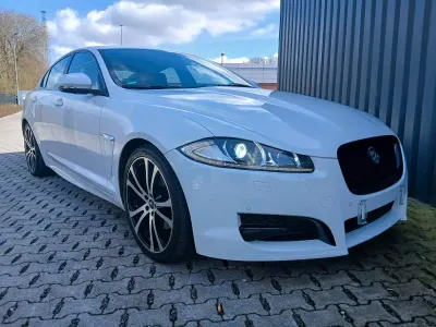 Käytetty Jaguar XF R-Sport 200 HP (147 kW) 2013 Valkoinen Sedan