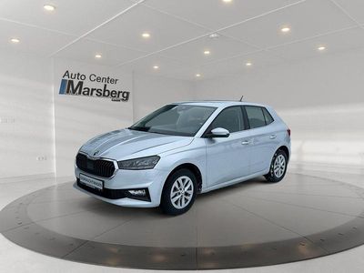 Gebraucht Skoda Fabia Style 95 PS (69 kW) 2023 Silber Kleinwagen