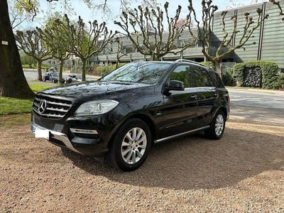 Mercedes ML250