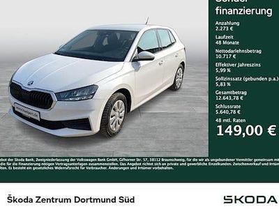 Gebraucht Skoda Fabia Active 80 PS (58 kW) 2023 Candyweiß Kleinwagen