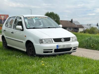 VW Polo