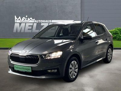 Gebraucht Skoda Fabia Selection 95 PS (69 kW) 2024 Graphitegrau Kleinwagen