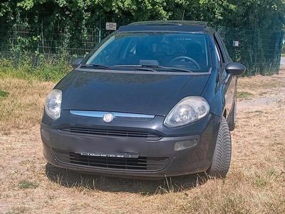 Fiat Punto Evo