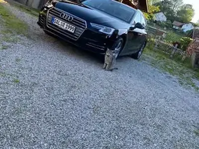Gebraucht Audi A4 Sport 150 PS (110 kW) 2018 Schwarz Kombi