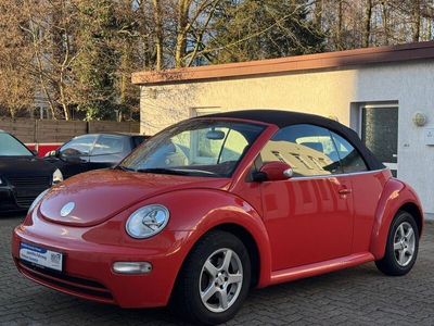 VW Beetle