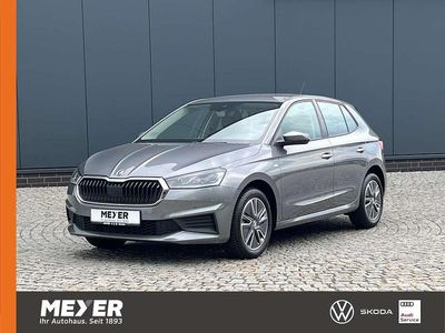 Grau Gebraucht 2023 Skoda Fabia Tour Kleinwagen | 18.790 € (Fairer Preis)