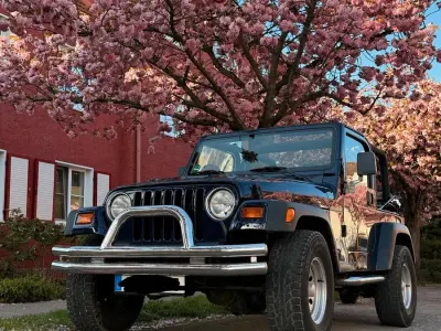 Gebraucht Jeep Wrangler Sport 169 PS (124 kW) 1999 Violet SUV