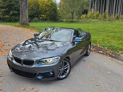 Brugt BMW 220 M Sport 184 HK (135 kW) 2015 Sølv Cabriolet