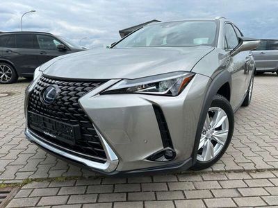 gebraucht Lexus UX 250h Hybrid Luxury Line